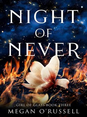 cover image of Night of Never